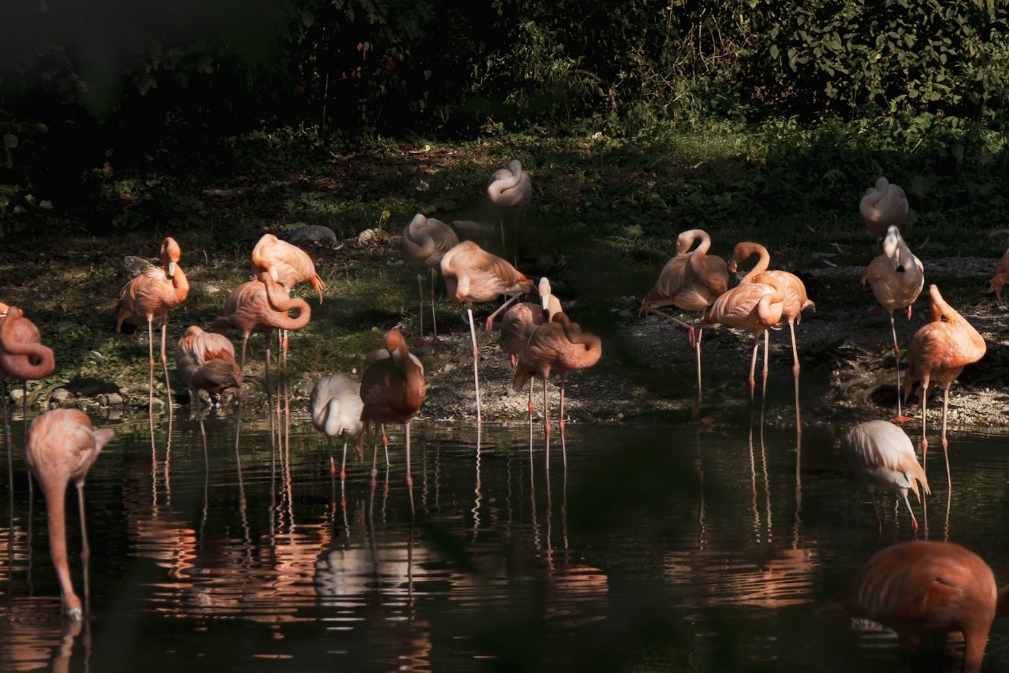 Family-Friendly Activities at Wildlife West Nature Park